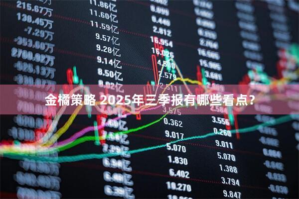 金橘策略 2025年三季报有哪些看点?