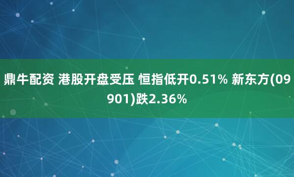鼎牛配资 港股开盘受压 恒指低开0.51% 新东方(09901)跌2.36%