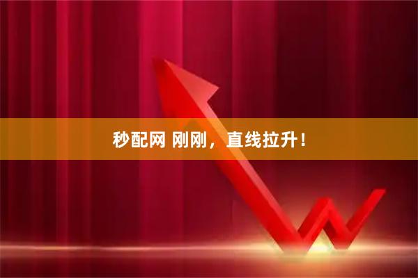 秒配网 刚刚，直线拉升！