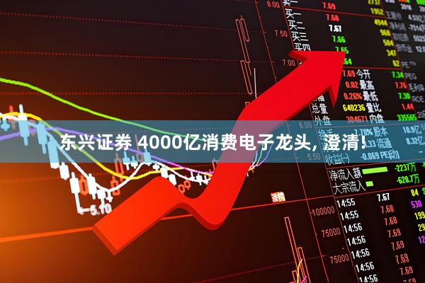 东兴证券 4000亿消费电子龙头, 澄清!