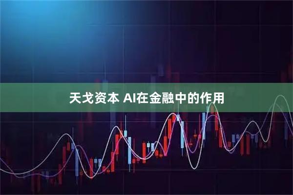 天戈资本 AI在金融中的作用
