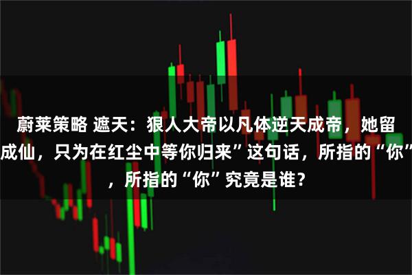 蔚莱策略 遮天：狠人大帝以凡体逆天成帝，她留下的“不为成仙，只为在红尘中等你归来”这句话，所指的“你”究竟是谁？